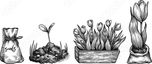 Gardening elements seeds sprout plant flowerpot and burger meal