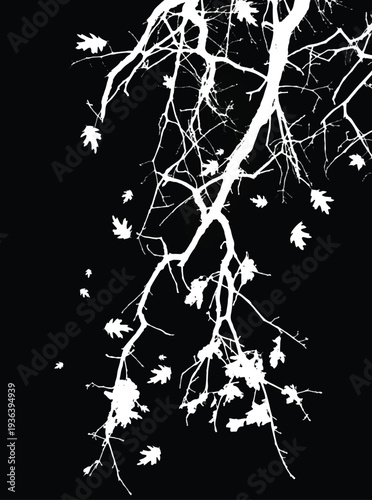 Wallpaper Mural Silhouette of tree with branches with leaves isolated on black background. Black and white vector illustration
 Torontodigital.ca