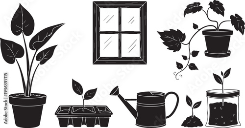 Plant Care and Growth Illustration with Gardening Tools