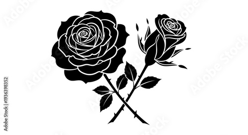 Black roses illustration with stems and leaves on white background