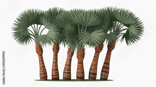 Cluster of tall palm trees with green leaves and brown trunks standing together outdoors