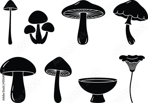 Collection of nine mushroom silhouettes with diverse caps, stems, and structures, showcasing botanical variety, artistic design, and natural illustration.