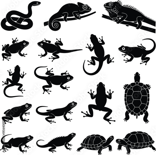 Collection of reptile and amphibian silhouettes including snake, chameleon, iguana, frog, lizard, and turtle, showcasing wildlife diversity.