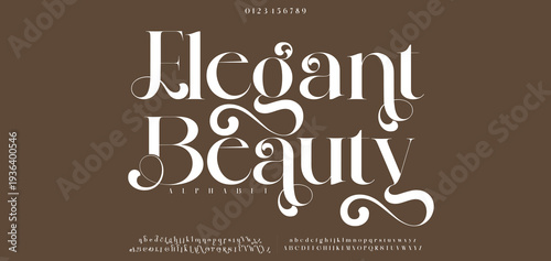 Elegant Beauty Elegant Font, luxury, wedding, modern, beauty font. Classic Lettering Minimal Fashion Designs. Typography modern serif fonts regular decorative vintage concept. vector illustration 