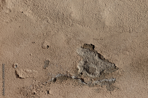 Peeling plaster wall revealing damaged stucco and rough texture, showing a weathered, aged surface ideal for backgrounds, architecture references, restoration projects, or gritty urban design work.