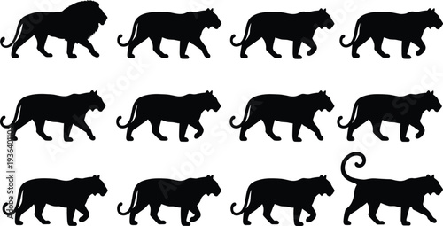 Visual puzzle of large cat silhouettes including panther and lion, showcasing differences in tails, mane, and walking poses.