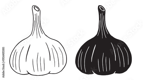 Garlic bulb illustration with simplified lines, presented in both outline and solid black silhouette forms.