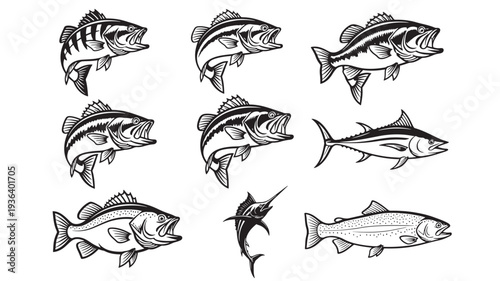 Fish set featuring various aquatic species like bass, tuna, salmon, and marlin in black and white illustrations