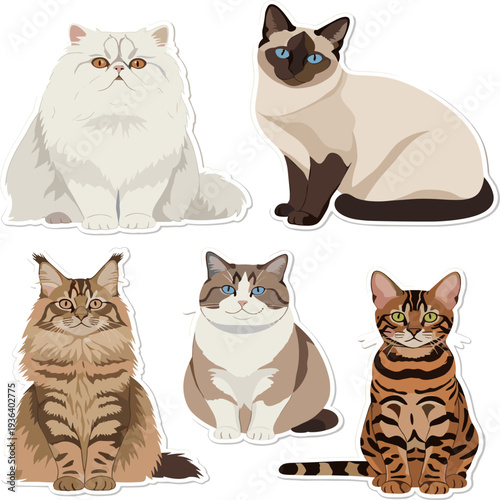 Set of cute funny cats and kittens isolated together as adorable domestic pets