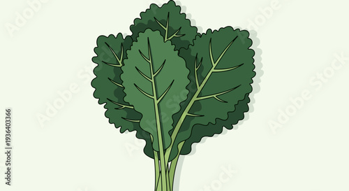 Fresh green leafy vegetables illustration on light background