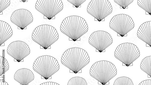 Seamless background pattern of elegant line-art seashells repeated across a clean white surface for marine-themed design projects.