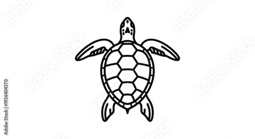 A black and white line drawing of a sea turtle swimming upwards