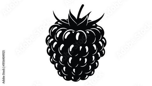 A blackberry fruit in a minimalist illustration style