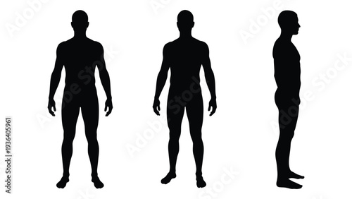 Human silhouettes in different views