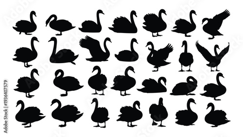 Collection of swan silhouettes in various poses