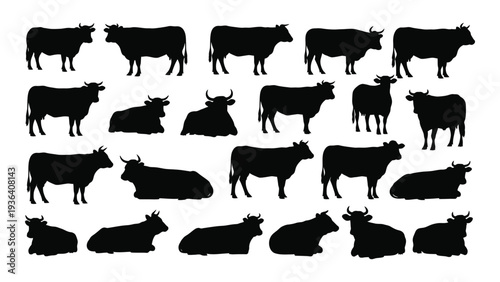 A group of black cow silhouettes on a white background