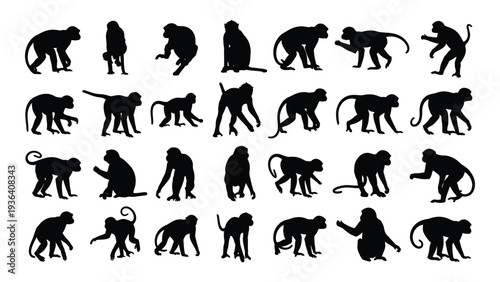 Various monkey silhouettes in different poses and shapes