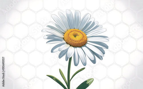 Beautiful white daisy flower with yellow center gray background symbolizing hope and innocence in a minimalist style On Valentine's day