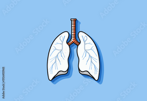 Illustration of Healthy Human Lungs with Bronchial Tubes on a Light Blue Background Showing Airway Structure and Respiration Anatomy