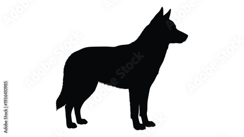A black silhouette of a dog standing on a white background