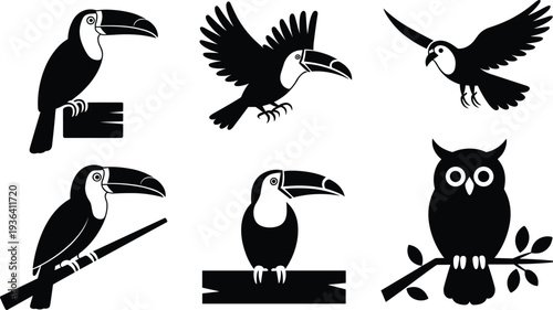 Toucan and Owl Bird Silhouettes Set with Flying and Perched Tropical Birds Black Vector Illustration Isolated on White Background for Wildlife Design
