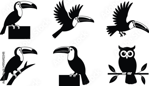 Toucan and Owl Silhouette Collection with Flying and Perched Tropical Birds Black Vector Illustration Isolated on White Background for Wildlife and Nature