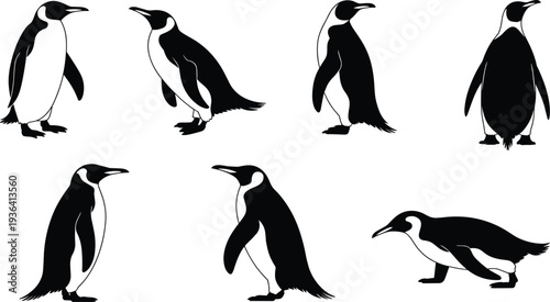 Penguin silhouettes collection standing walking different poses isolated wildlife bird vector illustration set design