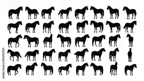 A large group of horse silhouettes in various poses