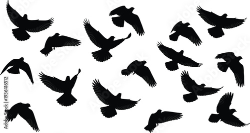 Set of black silhouettes of pigeons and doves flying in various positions isolated on white background for peace and nature,