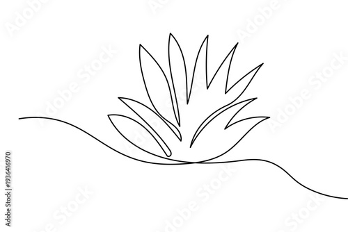 Spiky agave plant continuous one line drawing in minimalist style isolated on white background