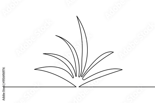 Spiky agave plant continuous one line drawing in minimalist style isolated on white background