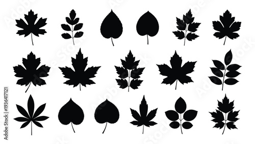 Collection of various leaf silhouettes on a white background