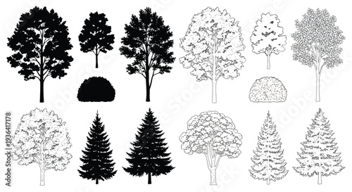 Variety of tree illustrations in black and white showcasing different styles