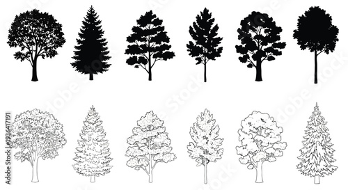 Collection of various black and white tree silhouettes and line art