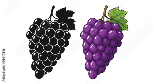 Two bunches of grapes one in color and one a black silhouette