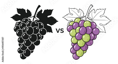 A comparison of grape bunches one dark one light with a vs symbol