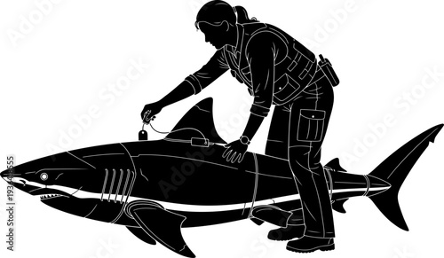 Researcher attaching a tracking tag to a large shark for marine study