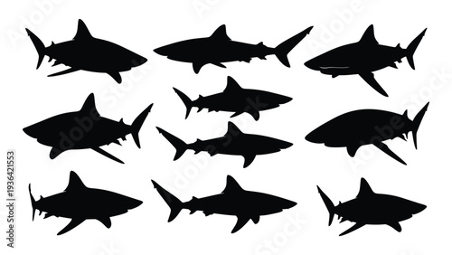 A group of shark silhouettes on a white background