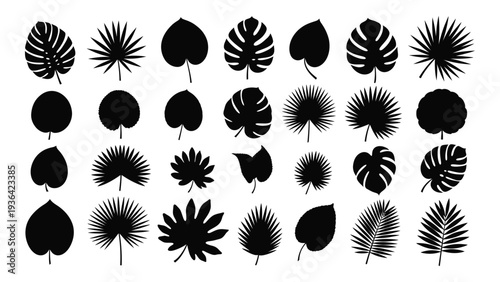 A collection of black leaf silhouettes on a white background