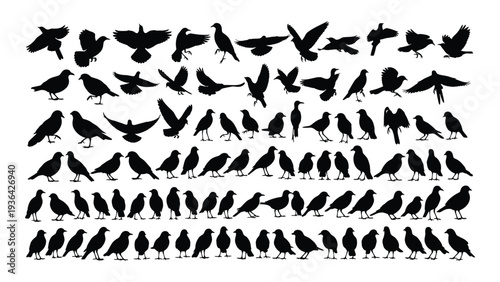 A large flock of birds flying in formation