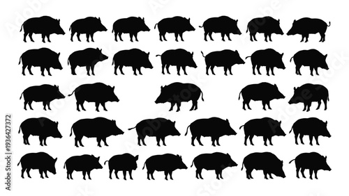 A large group of black boar silhouettes walking in different directions