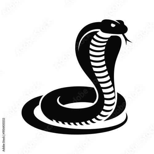 A striking black cobra poised with its hood dramatically flared open