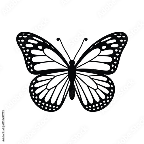 A detailed black and white illustration of a butterfly with ornate wings