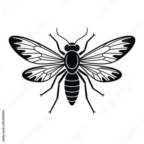 A striking black and white illustration of an insect resembling a wasp
