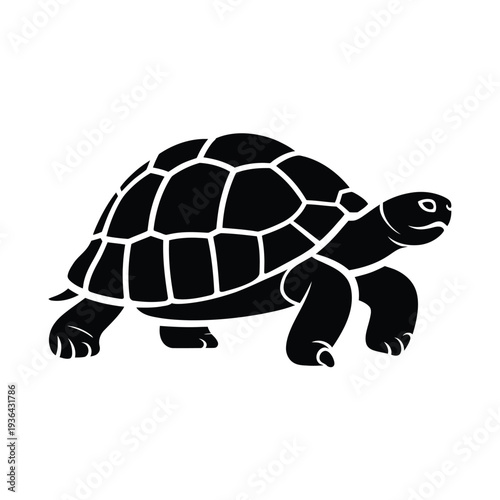 A striking black silhouette of a turtle walking forward