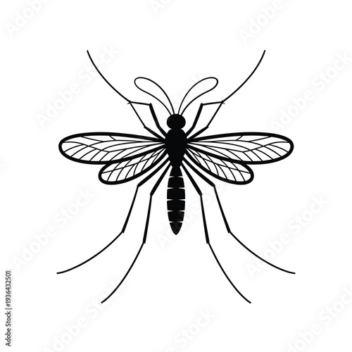 A detailed black and white illustration of a mosquito in profile