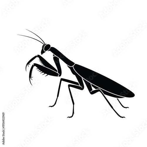 A striking black silhouette of a praying mantis in profile view