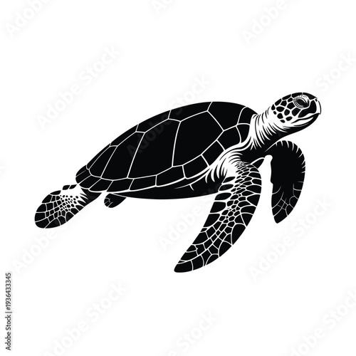 A striking black and white illustration of a sea turtle swimming