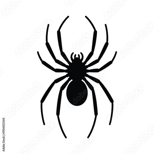 A stark black silhouette of a spider with eight prominent legs