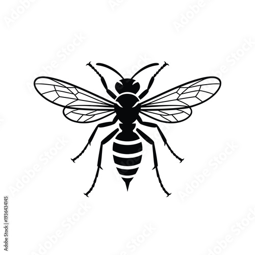 A black and white illustration of a wasp in flight wings spread